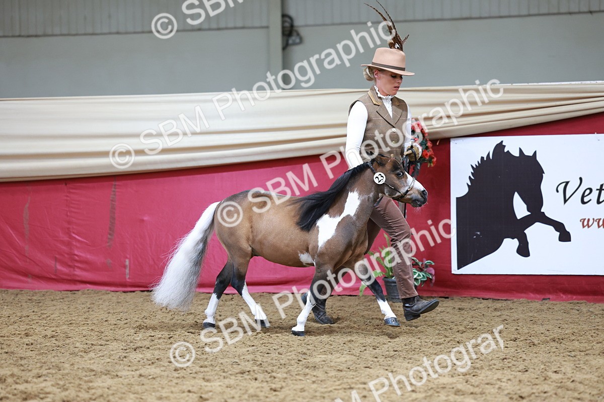 SBM_15721 - Class 110 - IH  Minature Horse