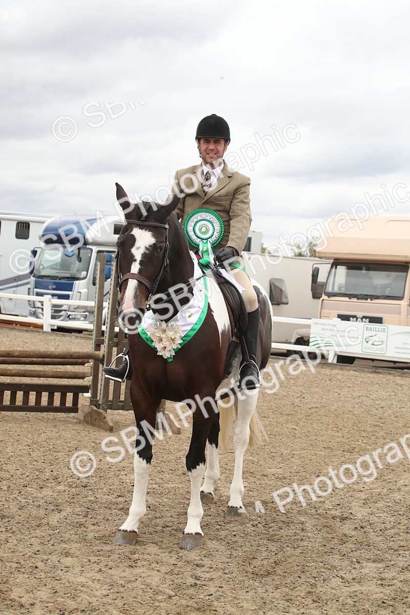 SBM_18326 - Class 509a - Working Veteran - 80cm (15-19)