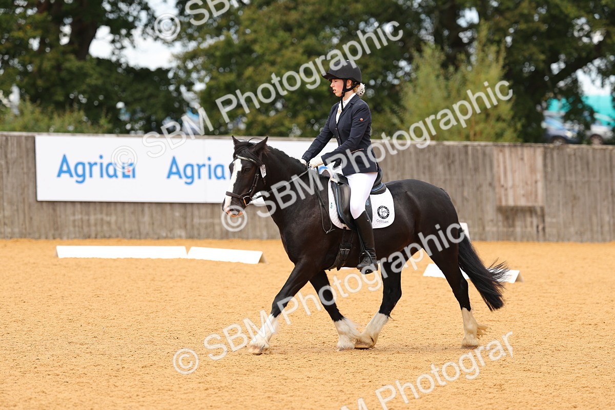 SBM_44005 - D22 - Junior Championship - Intro B