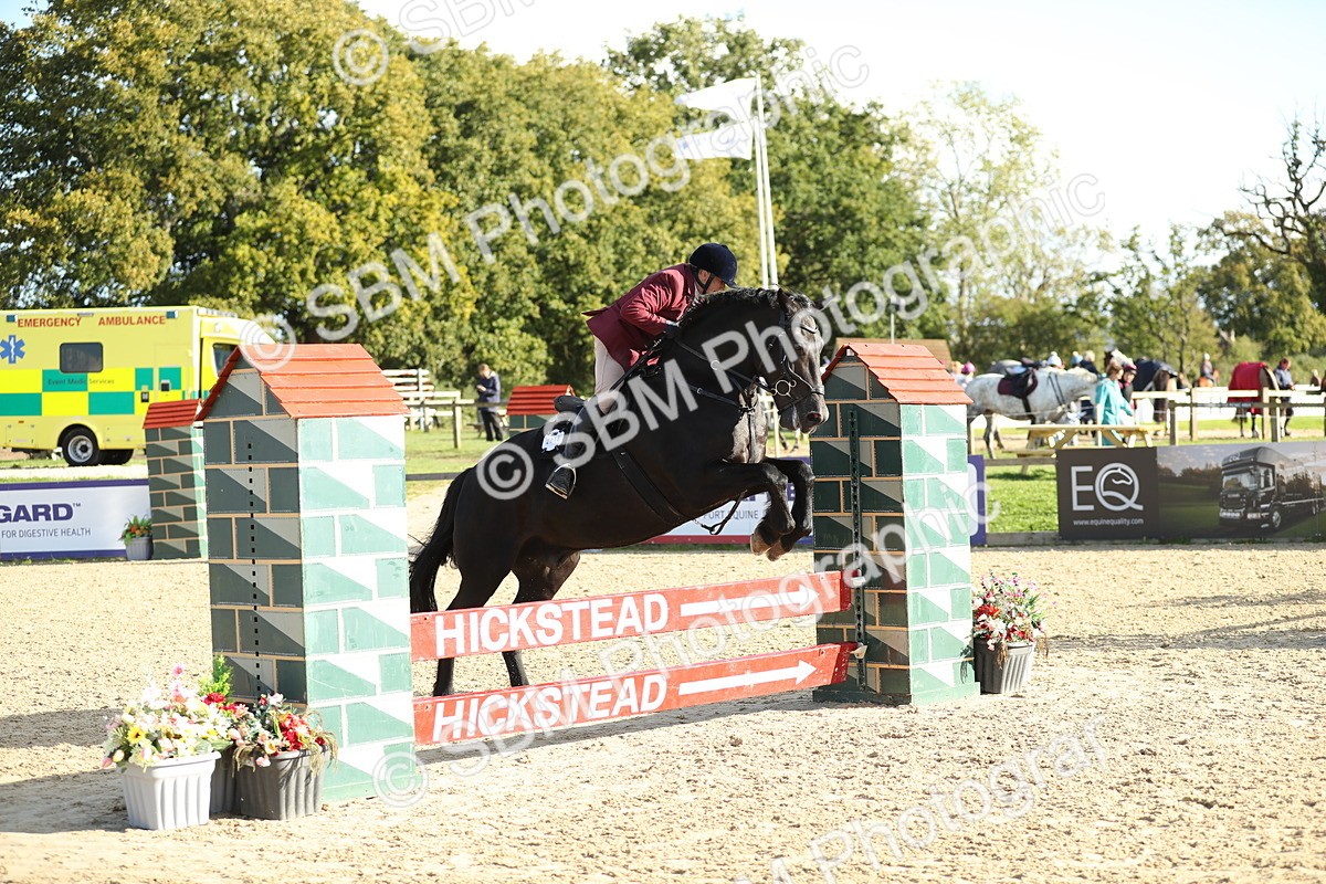 SBM_11463 - J37 - Veteran Rider 75cm