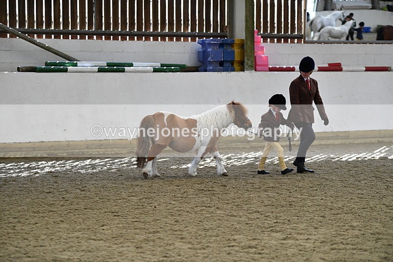 WJ5_4890 - Class 7 In hand coloured / odd coloured