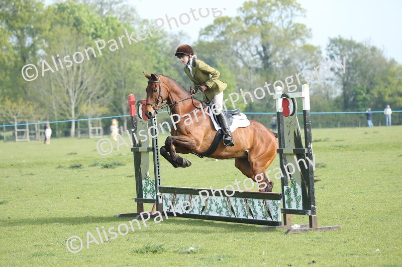 20260426-0083 - Class 13 - Rookie Jumping 50cm