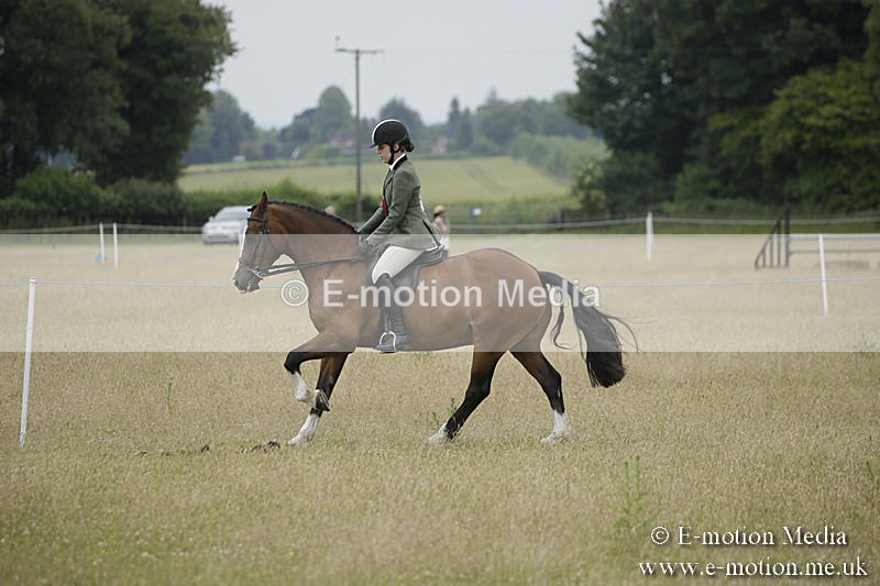 B230619-0943 - Bourne Valley Riding Club Summer Show 23/06/19