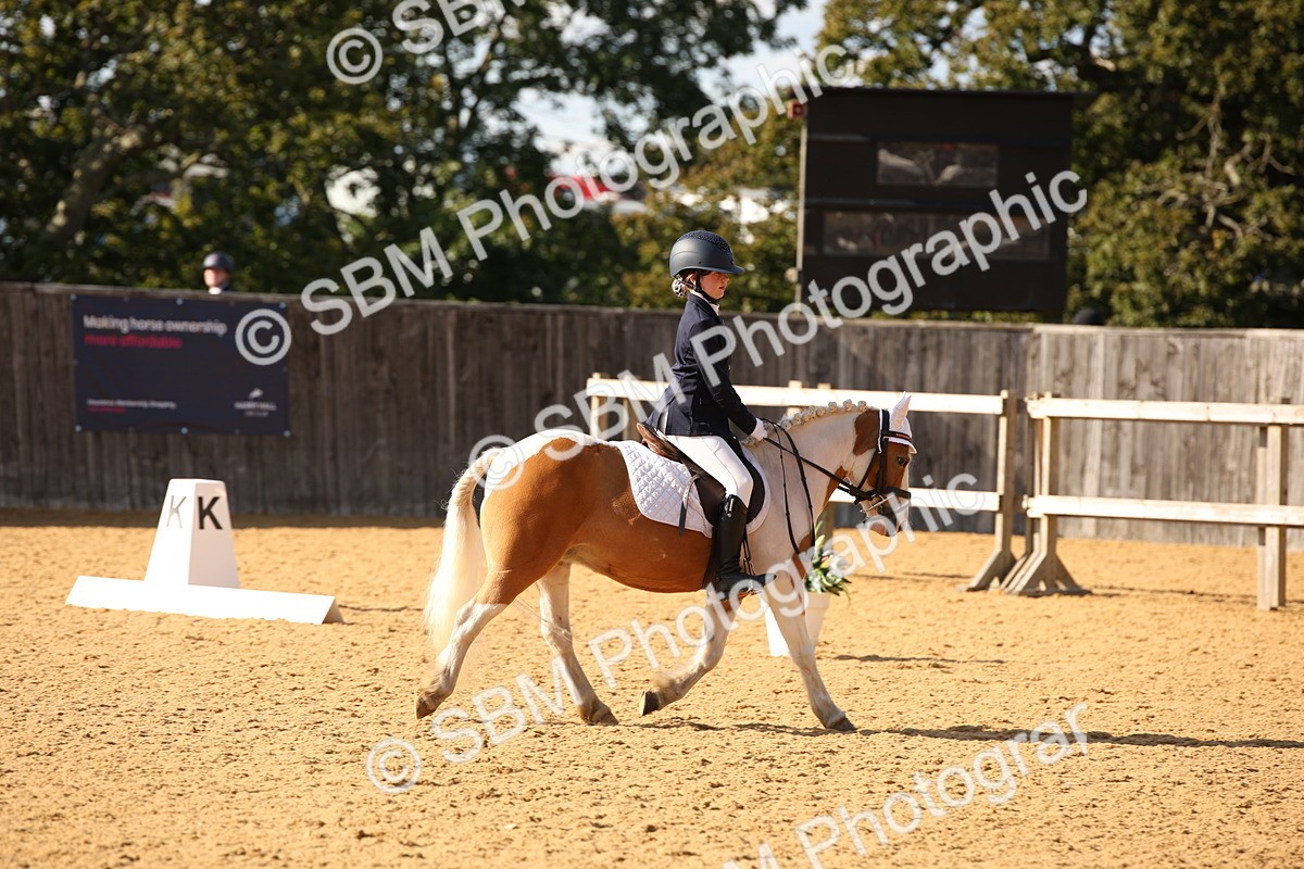 SBM_28203 - D11 - Small Tour Championship - Prelim 13