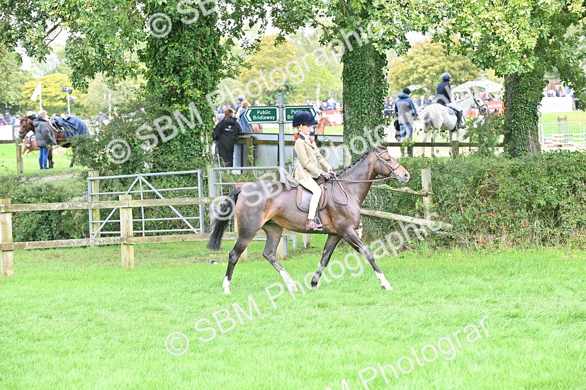 SBM_44485 - S13 - Pony Club Pony