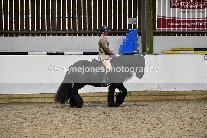 WJ5_8614 - Class 14 Novice Ridden/Rider