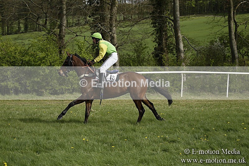 PtP 170417 250 - Old Berks Point-to-Point Lockinge 17/04/17
