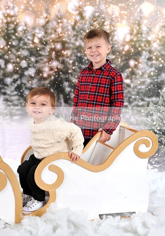 DSC_7486 - shannon ram