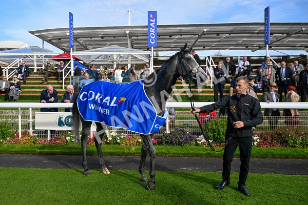 111025-Race 2-Grey Cuban-0357 - Race 2 Coral 'Pipped At The Post' Handicap at York