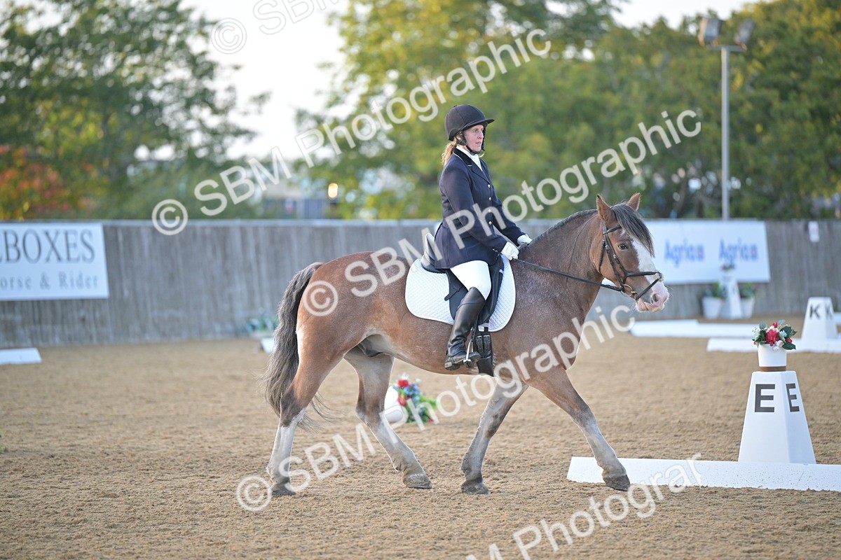 SBM_13532 - D3 - Small Tour Championship Intro 3