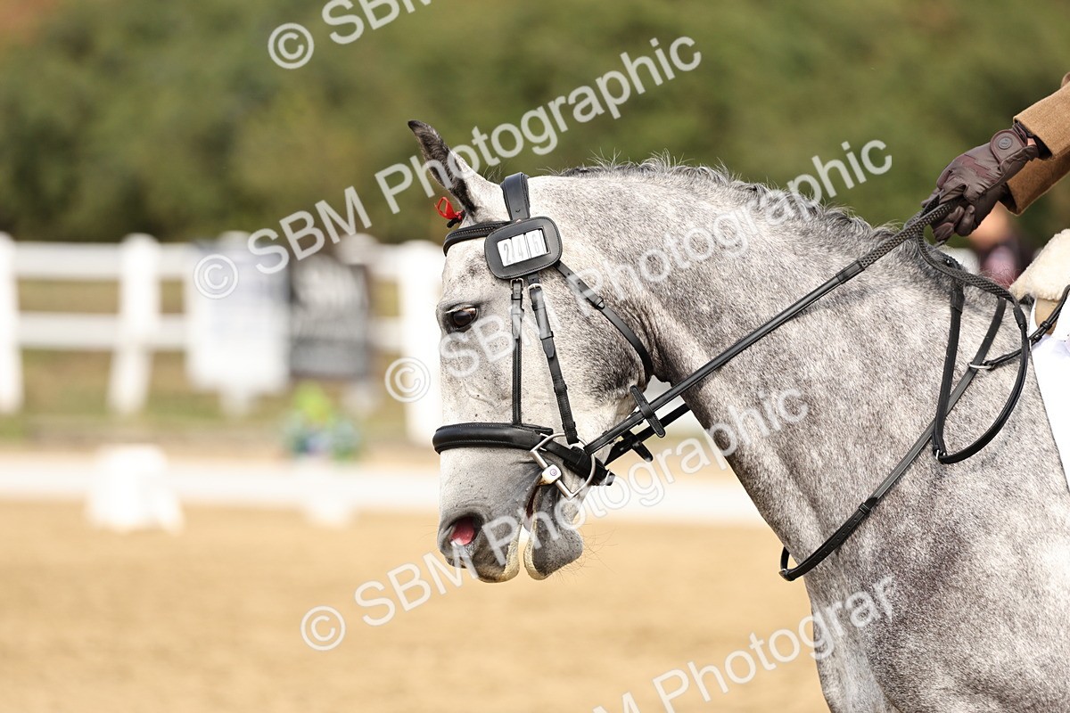 SBM_012420 - Class 2 - Prelim 5