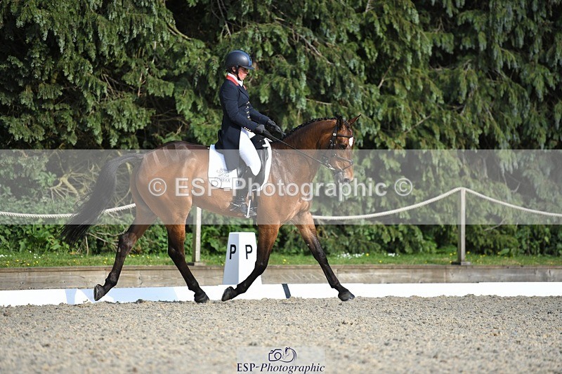 230525-175523-03633 - 132-OGUE_VERDI-Kitty_King-WEDTrotUp+DR