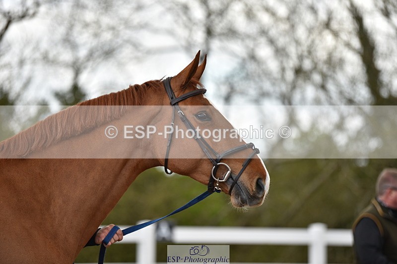 240417A-144938-00643 - 2pm to 3pm