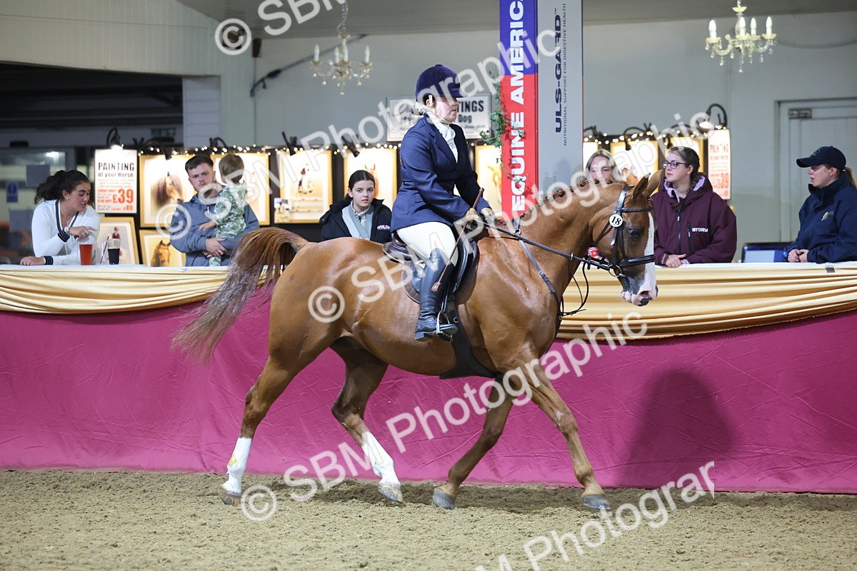 0B8A4659 - Class R Working Veteran Champ