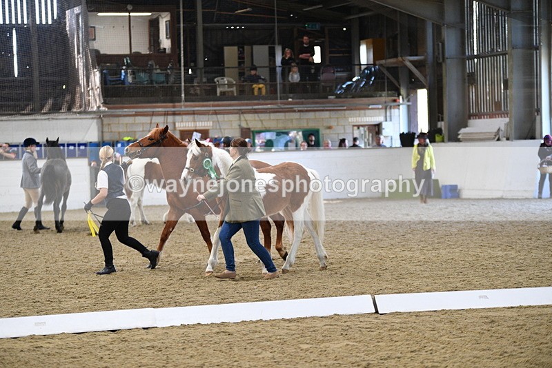 WJ5_3796 - Class 5 In Hand Veterans