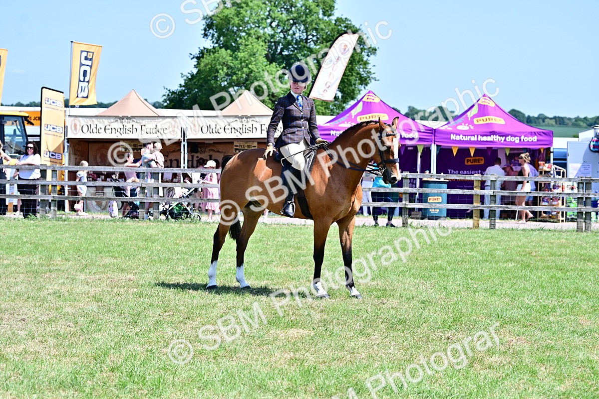SBM_15361 - Class 95-97 - BSPS LHS Performance Ponies