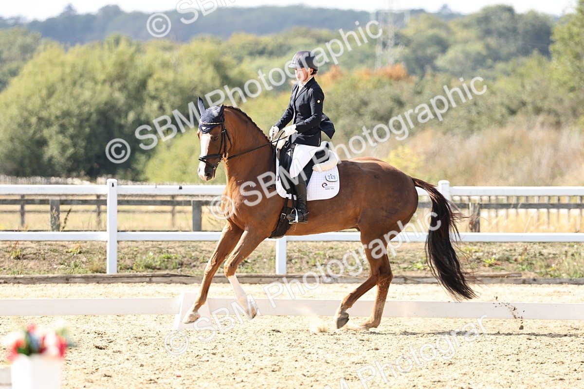 SBM_014937 - Class 7 - Medium 3