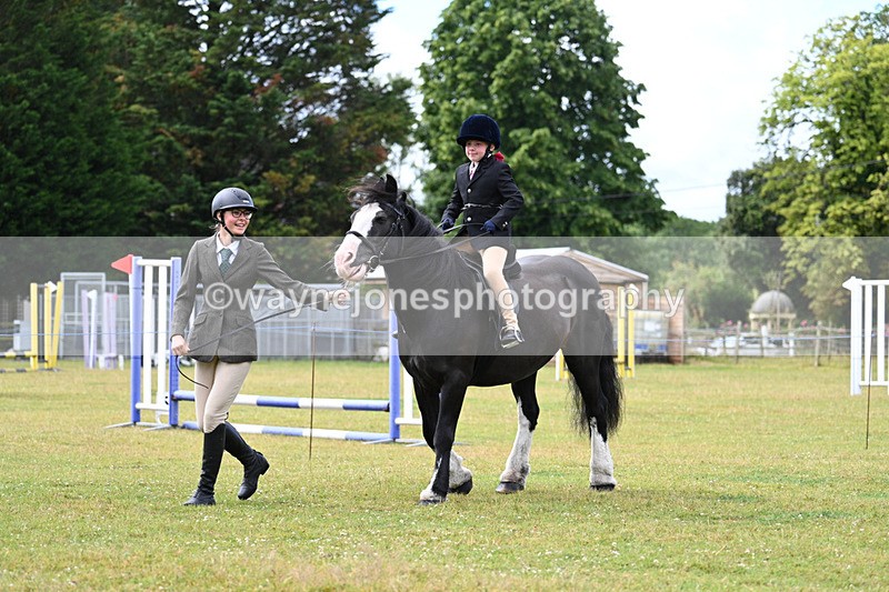 WJ7_4619 - Class 1 Lead Rein Pony