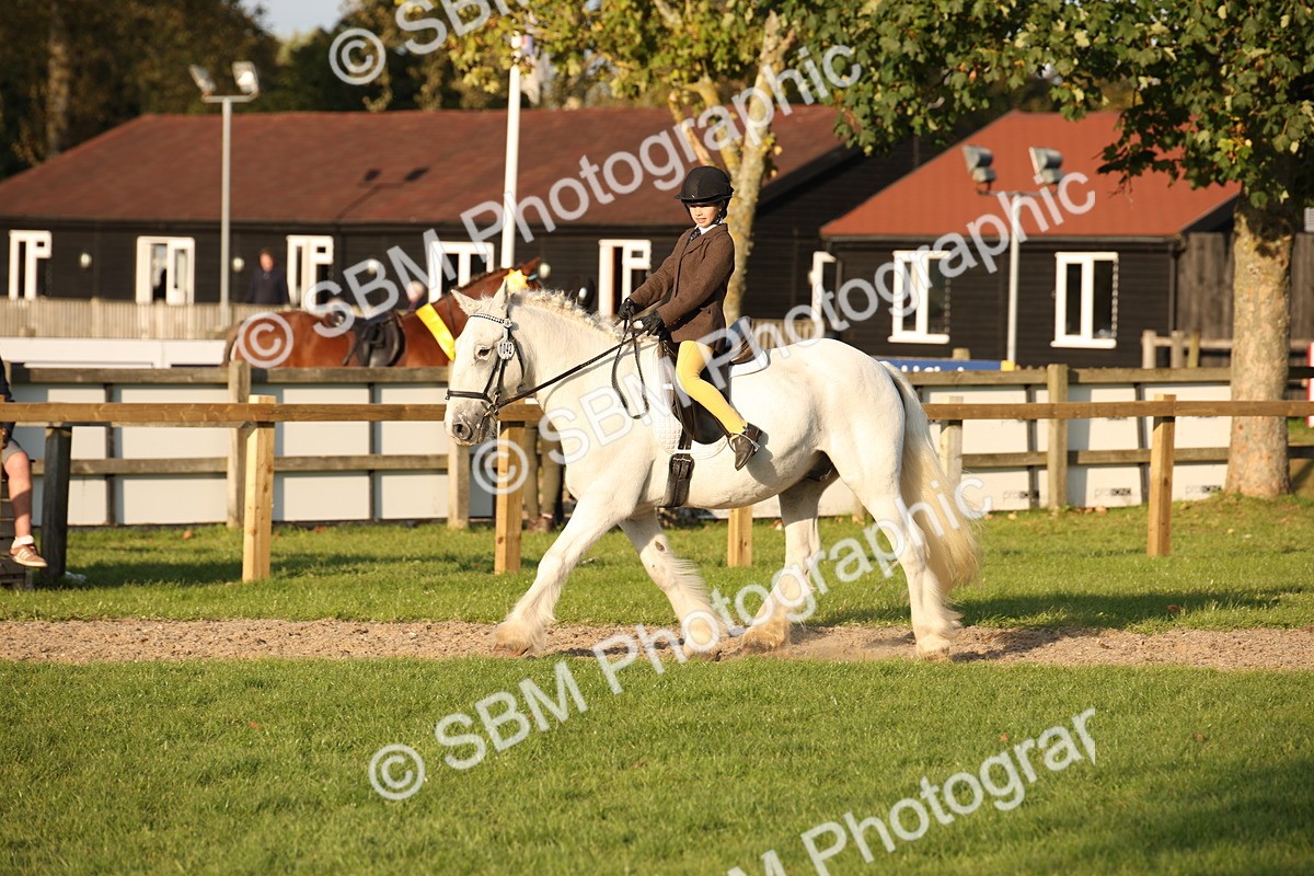 SBM_54424 - S27 - Mature Veteran - Ridden