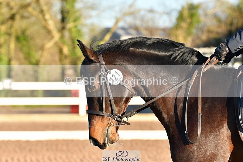 240107A-101029-01126 - UnAff Intro A and B Tests