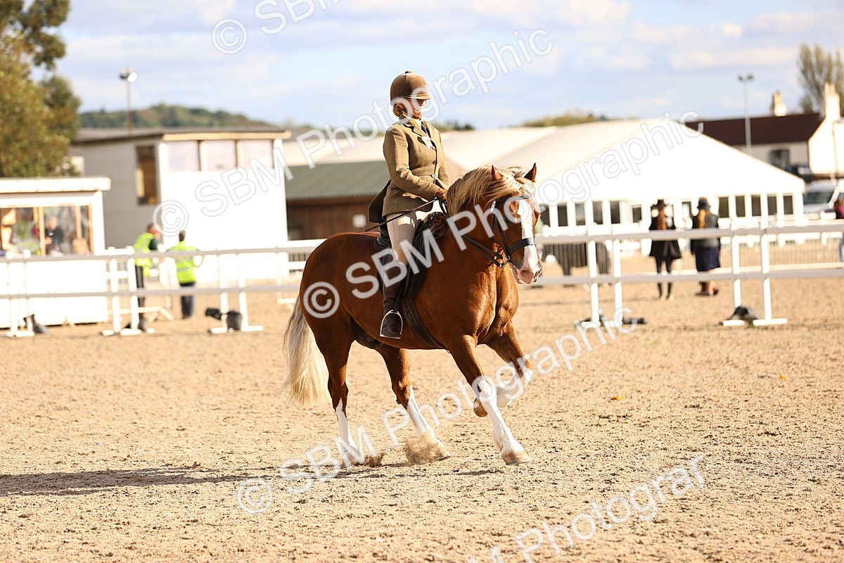 SBM_18261 - Class 423 - Equitation (best rider) Adult