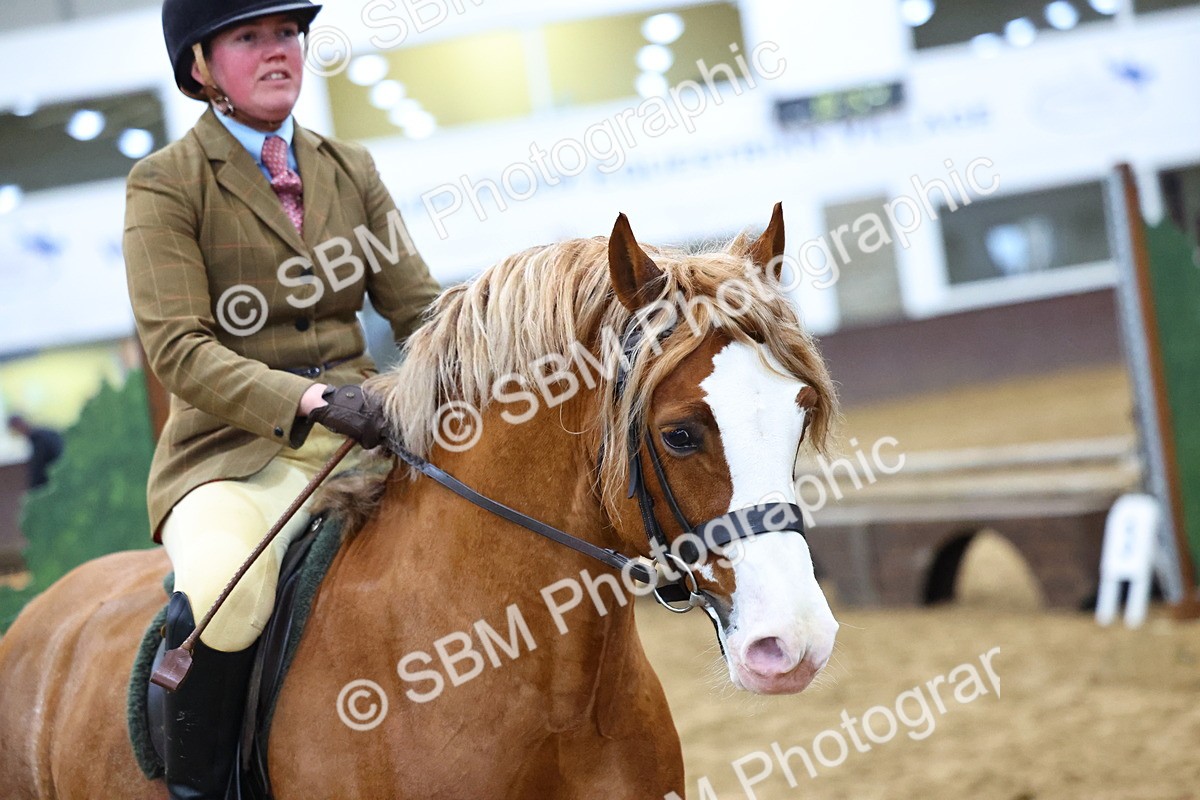 SBM_003337 - Class 36 - 70cm Training Stakes