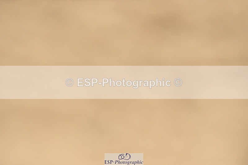 250622-141508-15593 - UnA Cls 3+4 Prelim 1+2