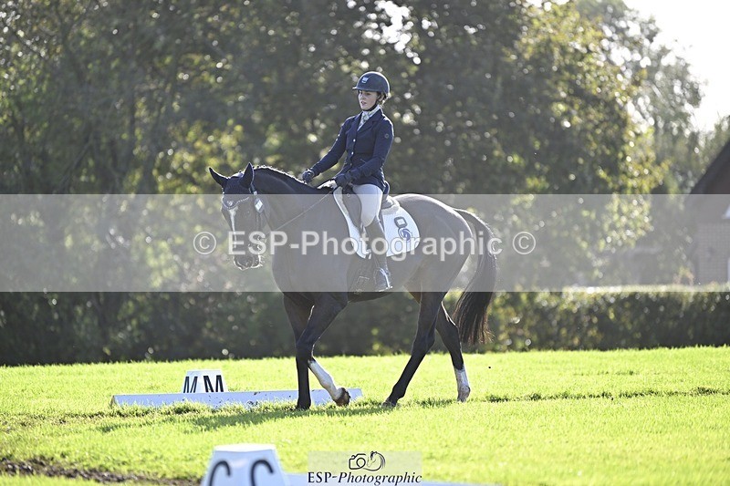 241025-111609-06817 - 365-Charlotte.Cutler-HOLY.STREET