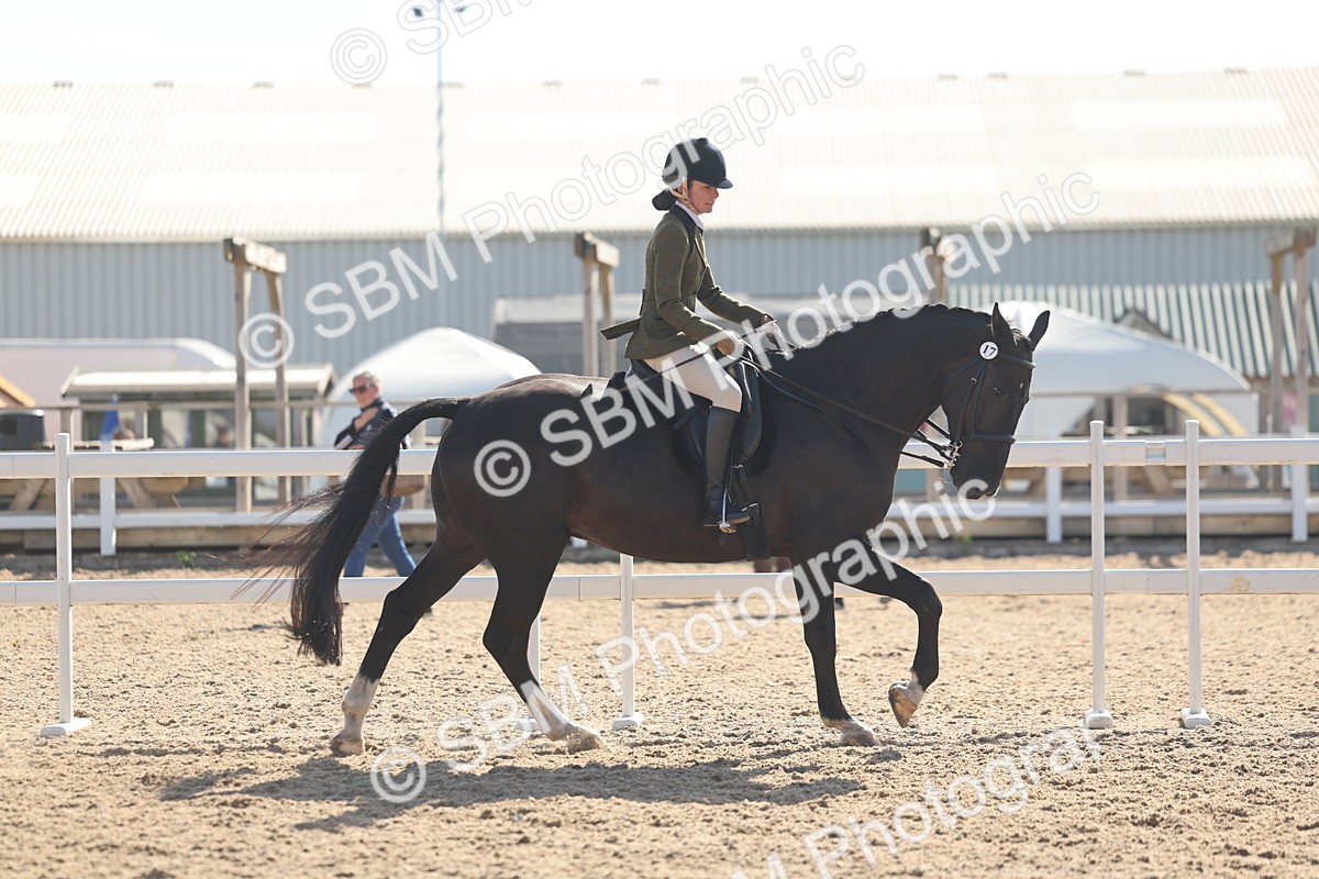 SBM_22659 - Class 805 - Ridden Veteran Horse