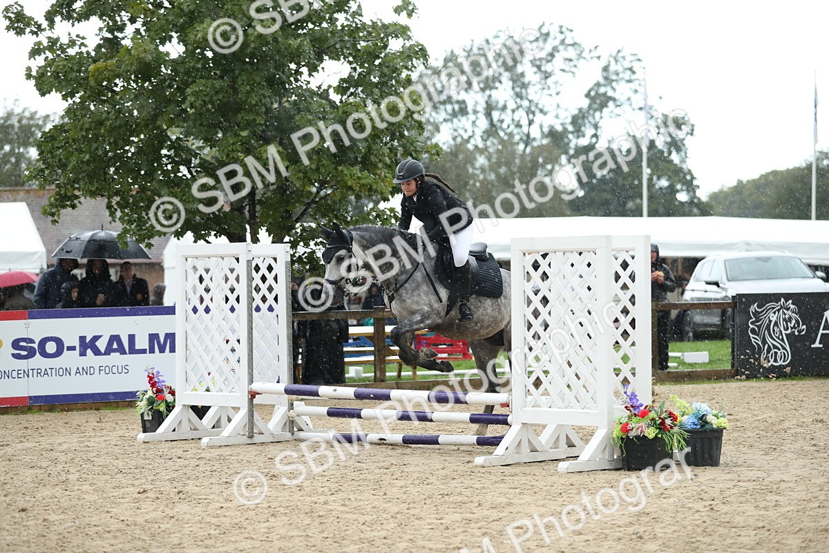 SBM_37137 - J20 - Junior Horse 50cm Championship