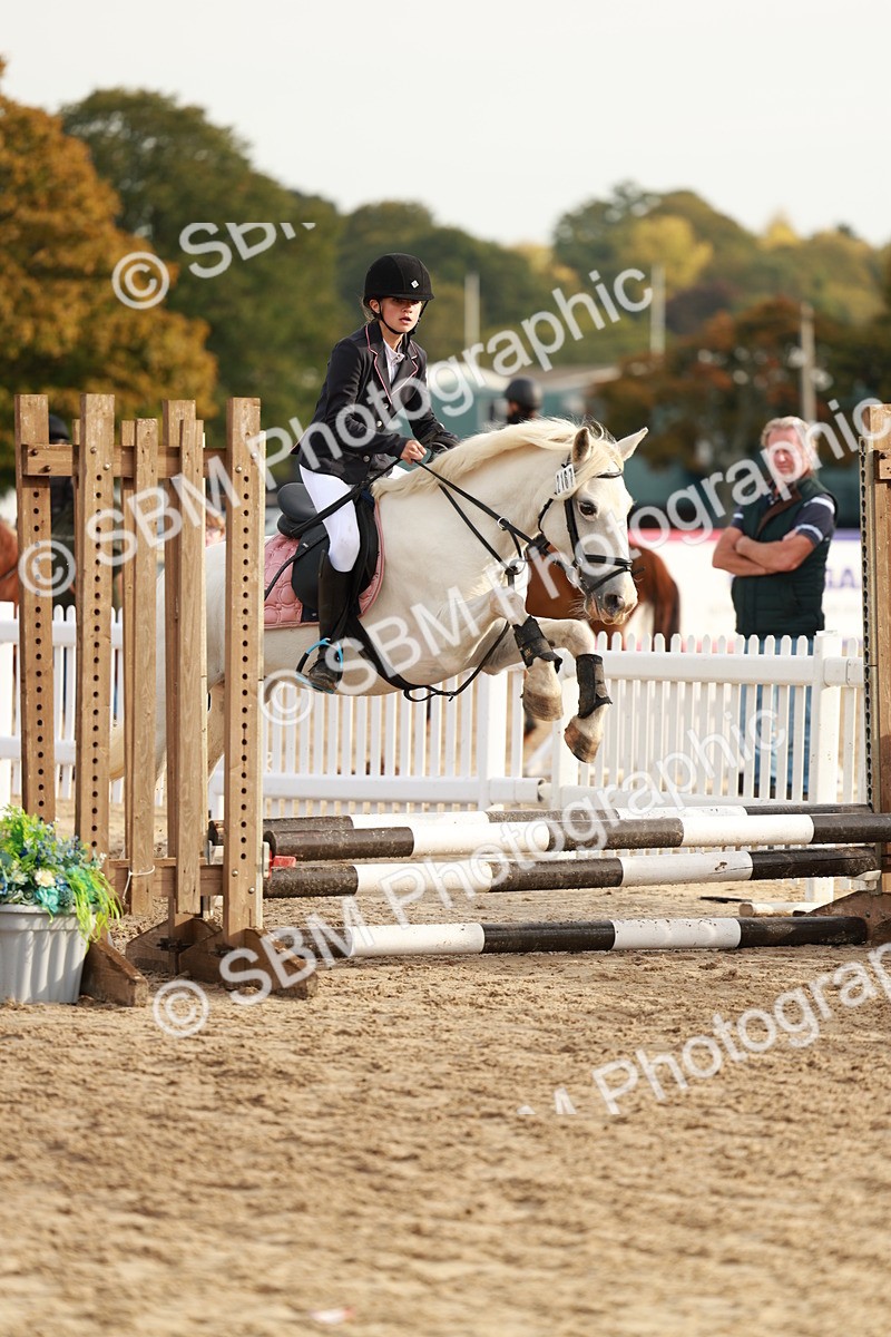 SBM_55671 - J11 - Junior Pony 50cm Championship