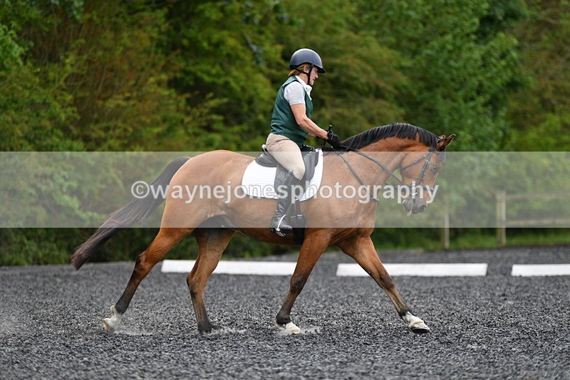 WJ5_0204 - Time 11:47 to 12:21