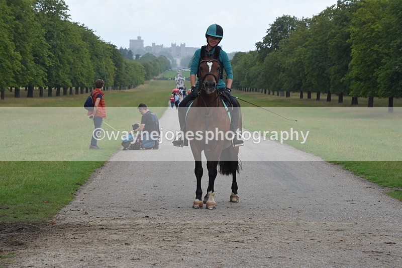 TT3_0166 - Time at Crossing 13:17 to 14:48