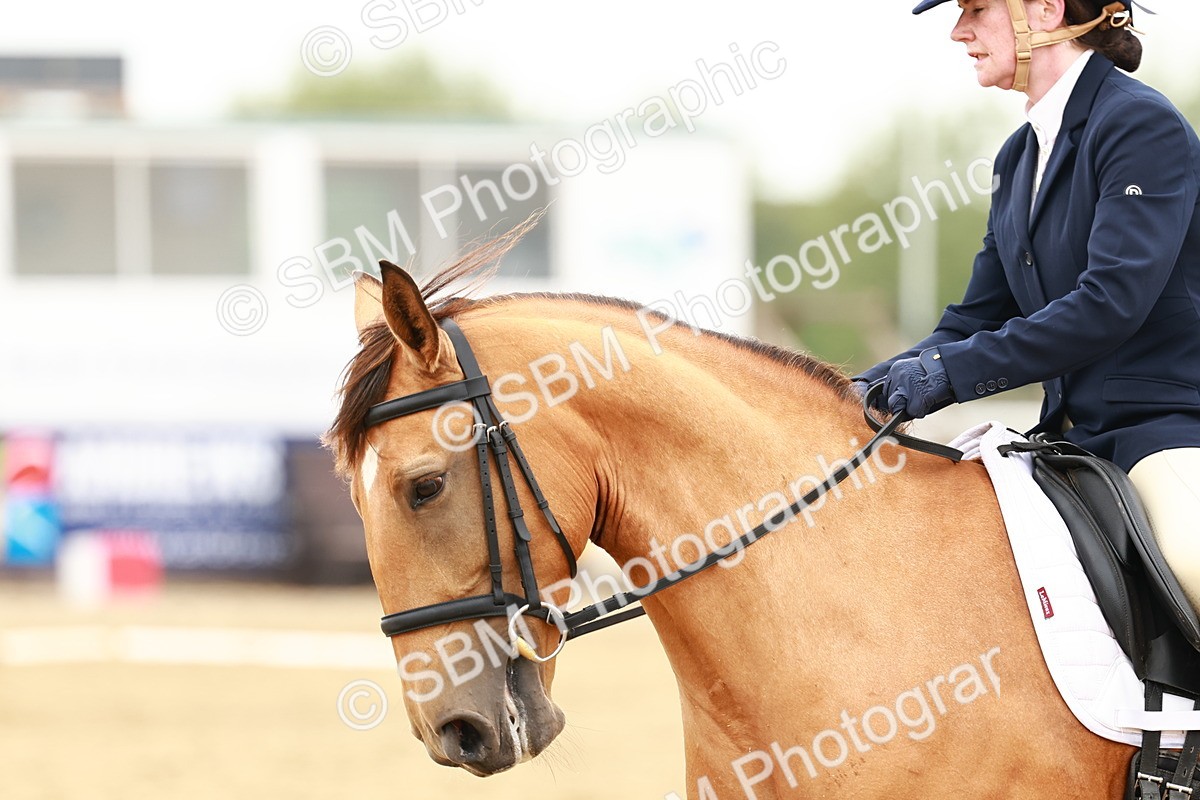 SBM_001041 - Class 6 - Novice 4