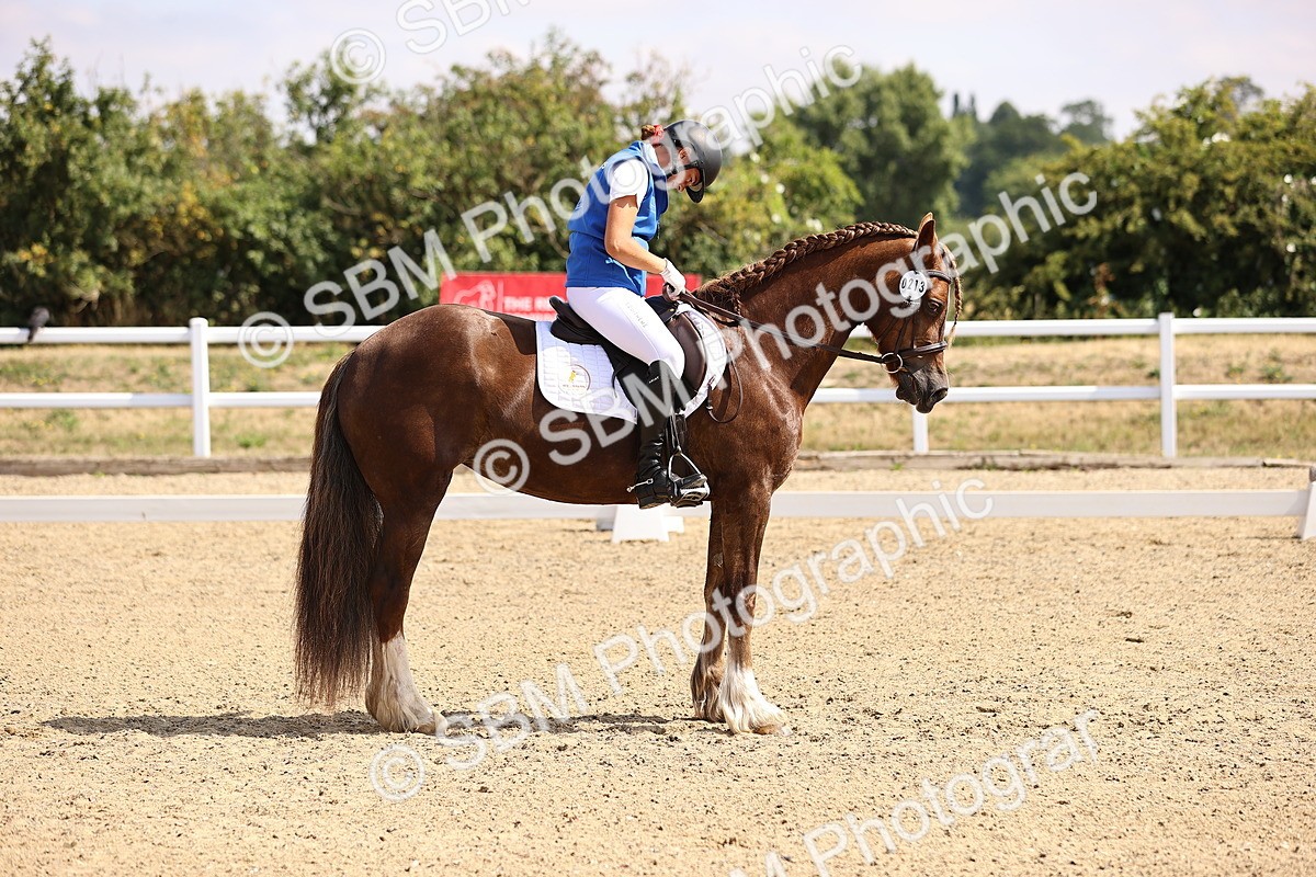 SBM_006547 - Intro 3 - 9.46-10.46