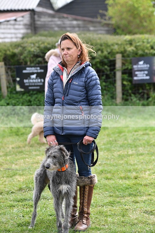 WJ5_9340 - Class 1 Best Cross Breed / Heniz 57