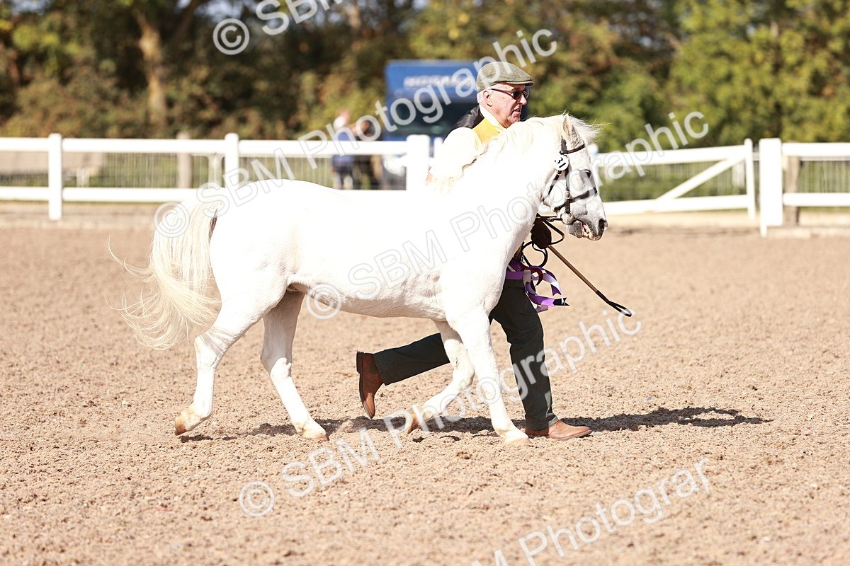 SBM_22857 - Class 705 - IH Combination 65+