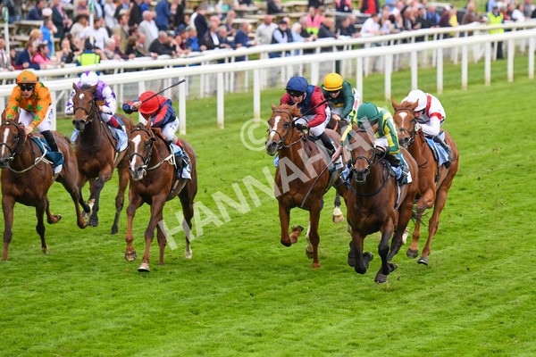 180523-Race 7-Chesspiece-0877 - Race 7 5.20pm Collective Green Energy Handicap