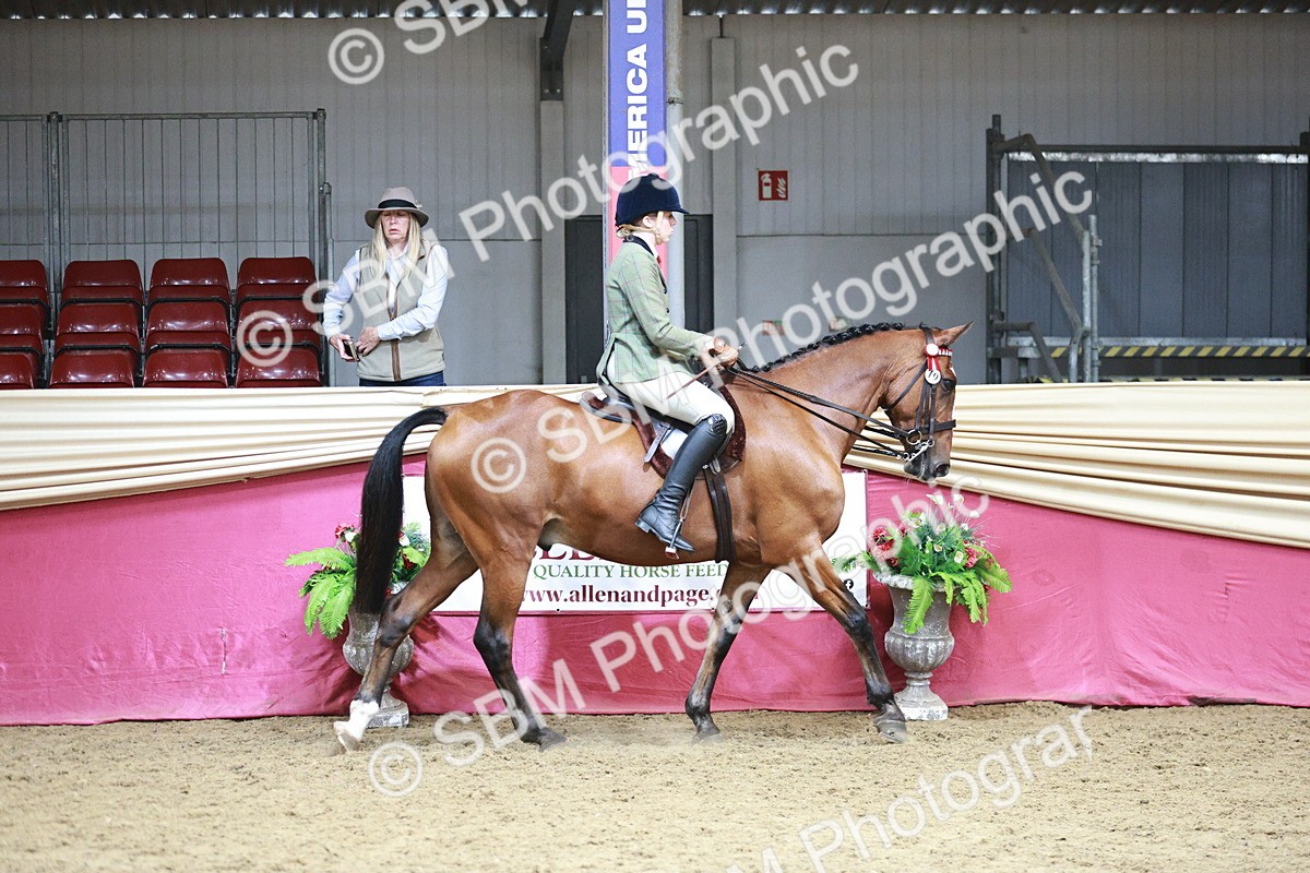 SBM_08780 - Class 12R - Regional Ridden Pre-Vet