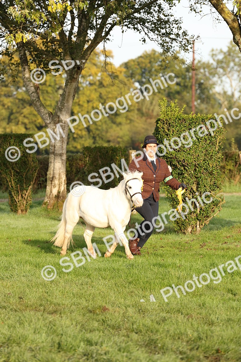 SBM_54465 - S51 - Foreign Breeds In Hand