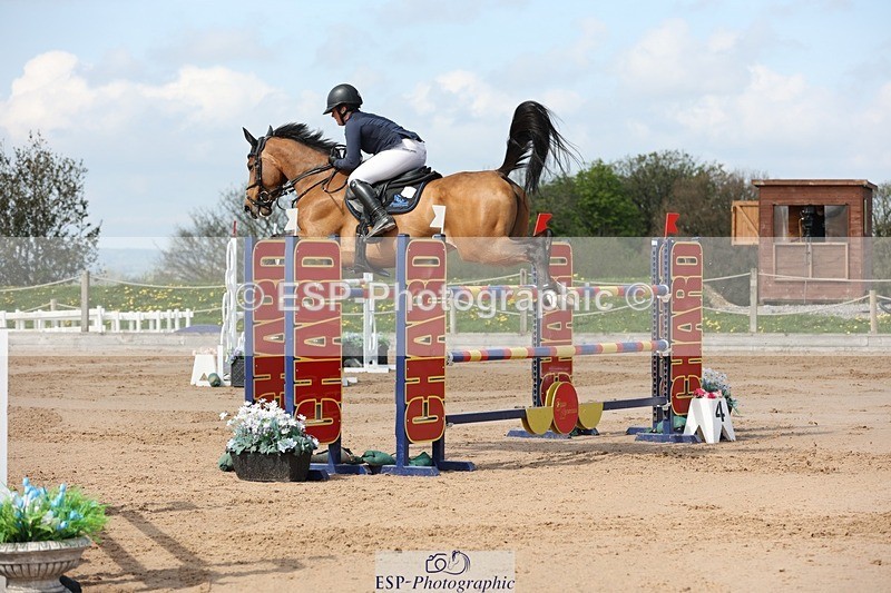 250427-110349-15780 - Cls 36 Young Horse 7yr old