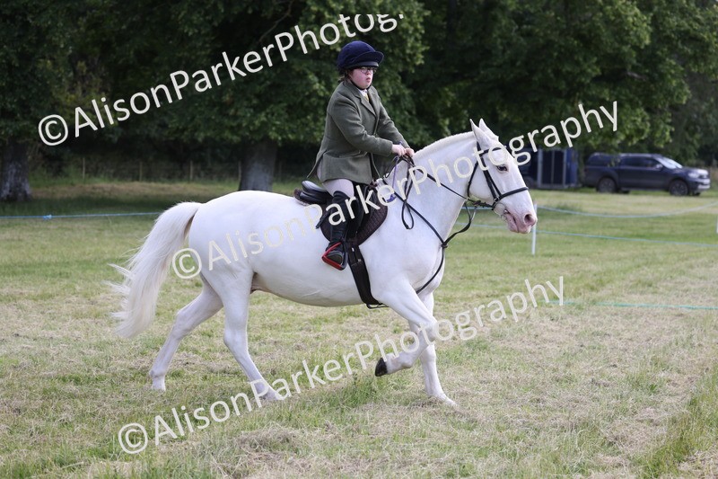 20260614-0768 - Class 20 - Beginners Working Hunter Pony