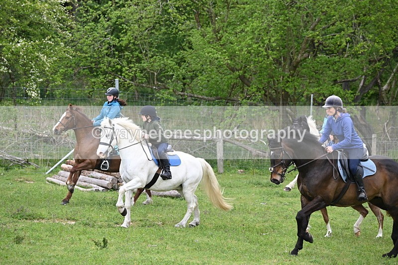 WJ6_3024 - A Camera