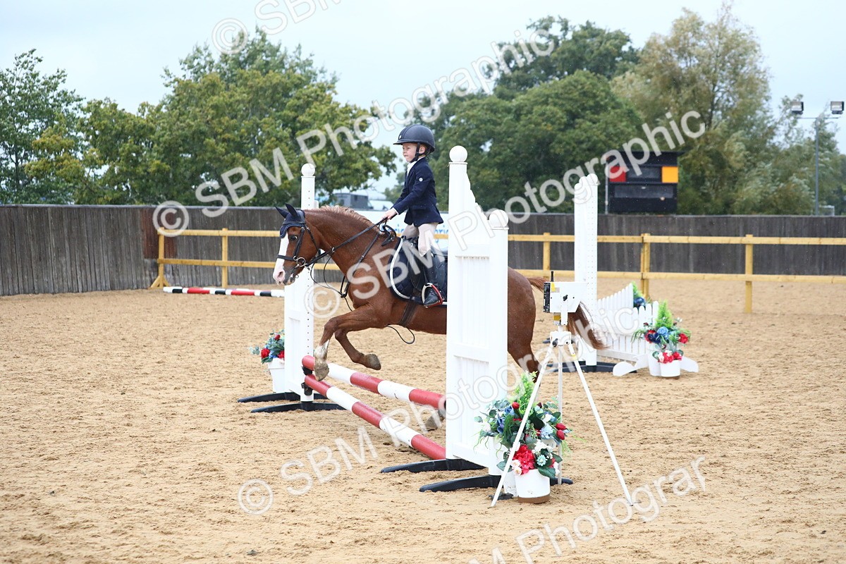 SBM_71561 - J4 - Mini Tour Junior Pony 45cm Championship