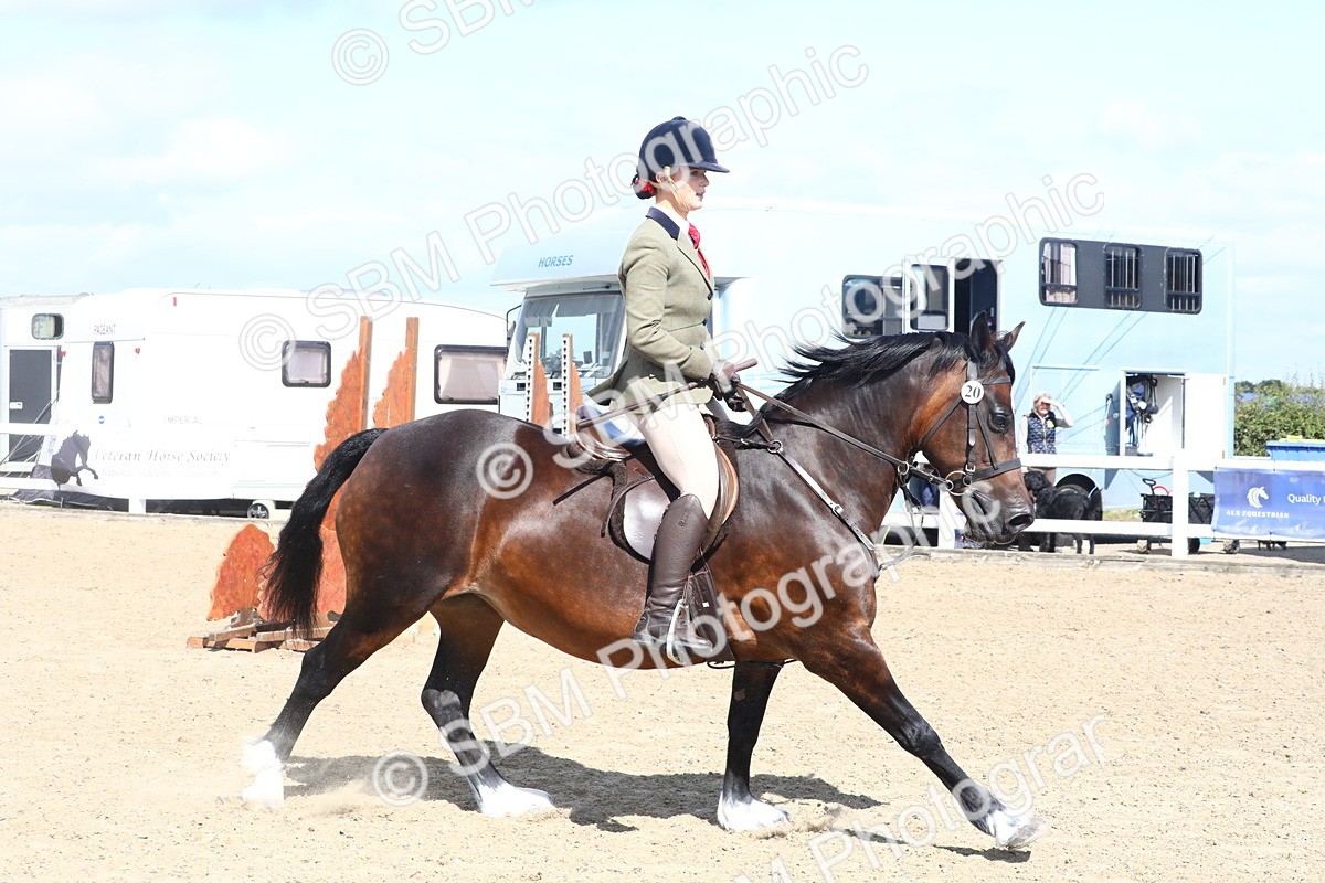 SBM_12303 - Class 505b - M&M Working Veteran  50cm (20+)
