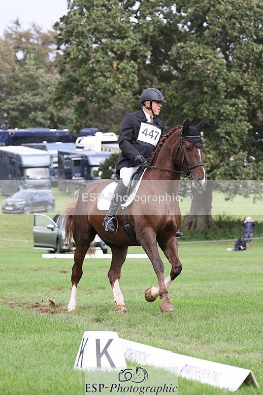 231019-143851-04036 - 447-STALLONE-Andrew.Winterton-DR