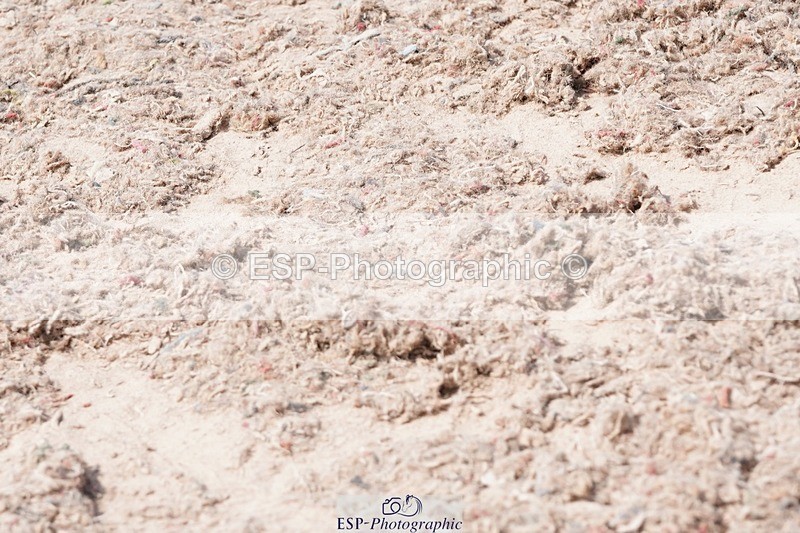 250503-115018-00676 - Cls 21+22 Club and Schools 80cm