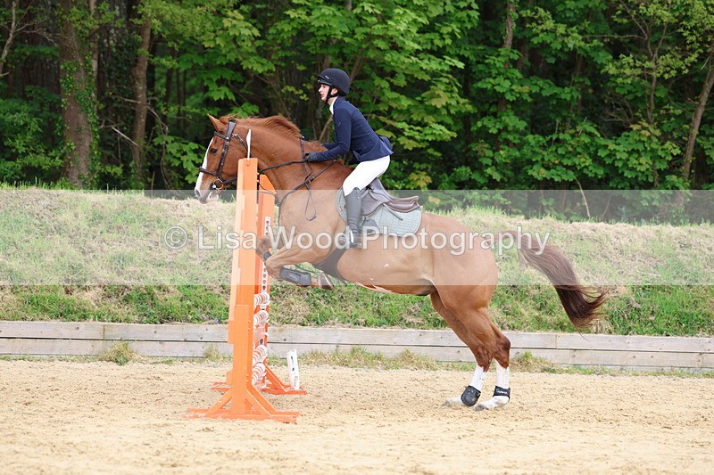 3E7A6243 - Class 4: Senior British Novice/90cm open