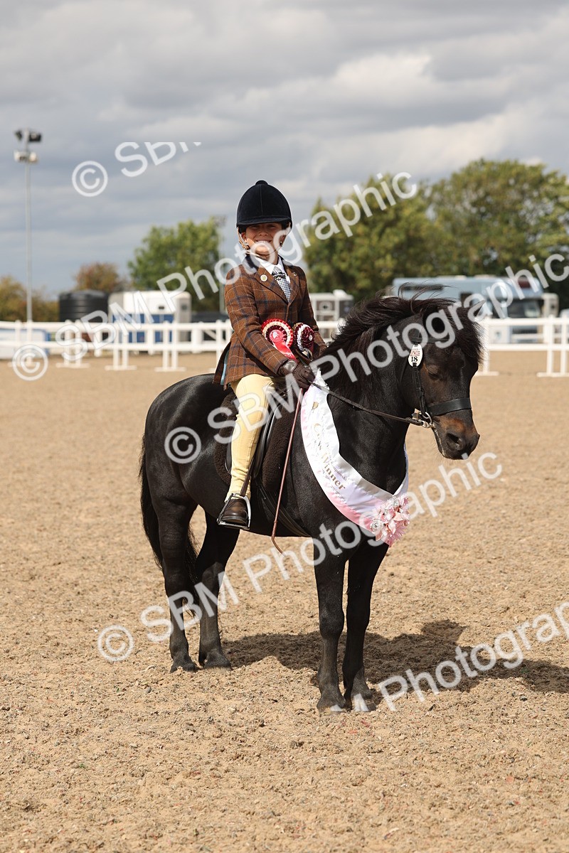 SBM_15919 - Class 310 - First Ridden Pony
