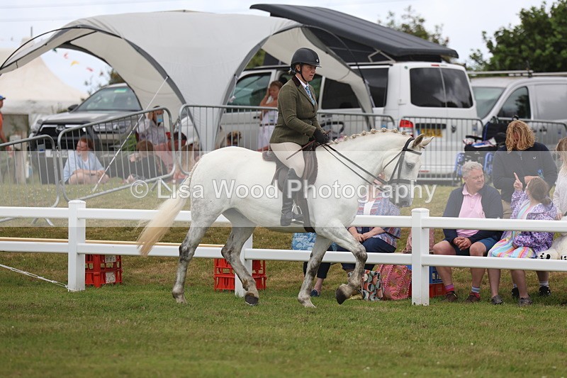 3E7A1373 - Class 9: Open Hunter